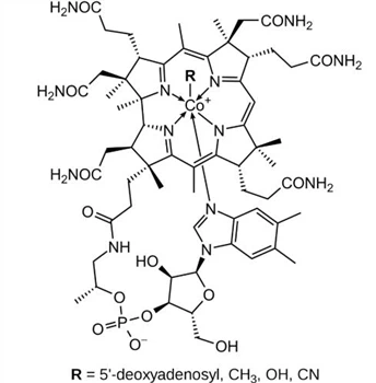 One of Element of Anemia- VB12