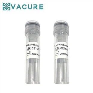 Diabetes Marker Antigen Antibody