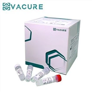 Monkeypox Virus Nucleic Acid Kit